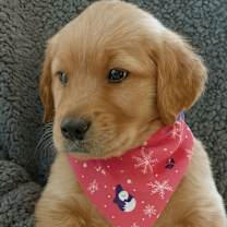 Thumbnail photo of Frostie #4