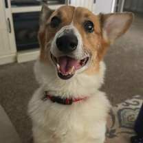 Thumbnail photo of Griffey #3