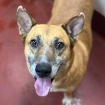 Thumbnail photo of Debby #4