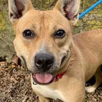 Thumbnail photo of Betty #1