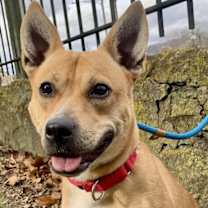 Thumbnail photo of Betty #3