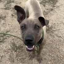 Thumbnail photo of Donny #2