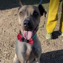 Thumbnail photo of Donny #3