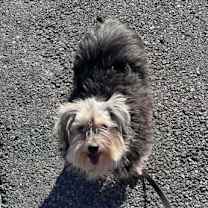 Thumbnail photo of Ellie #2