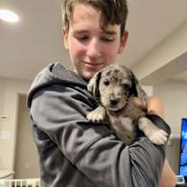 Thumbnail photo of Dasher #3