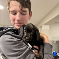 Thumbnail photo of Dancer #1