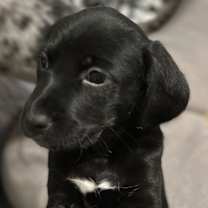 Thumbnail photo of Clarice #1