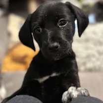 Thumbnail photo of Clarice #3