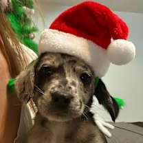 Thumbnail photo of Yukon #3