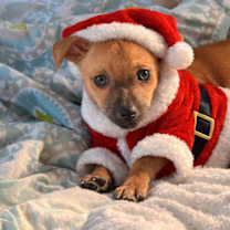 Thumbnail photo of Ellen Griswold #1