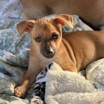 Thumbnail photo of Ellen Griswold #4