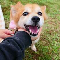 Thumbnail photo of VITO #1