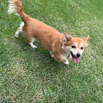 Thumbnail photo of VITO #2