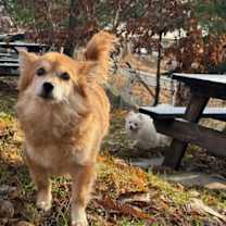 Thumbnail photo of VITO #4