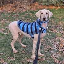 Thumbnail photo of Moses #2