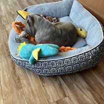 Thumbnail photo of Scar #3