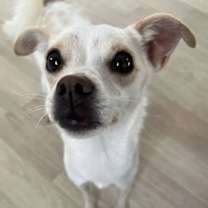 Thumbnail photo of SOI #1