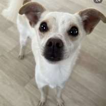 Thumbnail photo of SOI #3