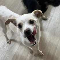 Thumbnail photo of SOI #4