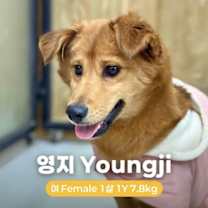 Thumbnail photo of YOUNGJI #1