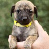 Thumbnail photo of Margo #1