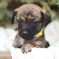 Thumbnail photo of Margo #2