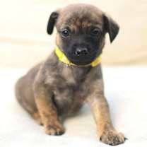 Thumbnail photo of Margo #3