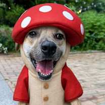 Thumbnail photo of Ohgong (H) #1