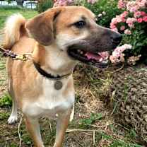 Thumbnail photo of Ohgong (H) #4