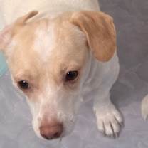 Thumbnail photo of Odessa #1