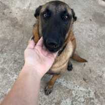 Thumbnail photo of McKenzie #1