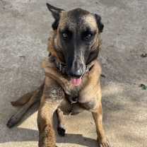 Thumbnail photo of McKenzie #3