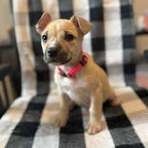 Thumbnail photo of Monica #1