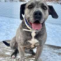 Thumbnail photo of Lilly #1