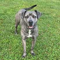 Thumbnail photo of Lilly #2