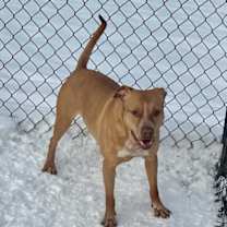 Thumbnail photo of Medusa #2