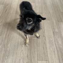 Thumbnail photo of Tico #2