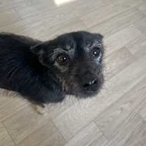 Thumbnail photo of Tico #1