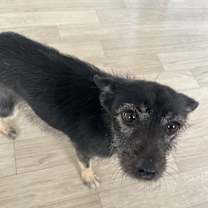 Thumbnail photo of Tico #3