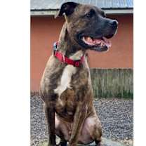 Thumbnail photo of Sonny #1