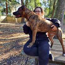 Thumbnail photo of Sonny #2