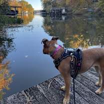 Thumbnail photo of Luna #3