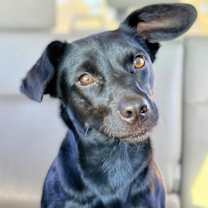 Thumbnail photo of Tilley #2