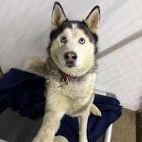 Thumbnail photo of Andy #1