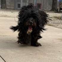 Thumbnail photo of Princess #1