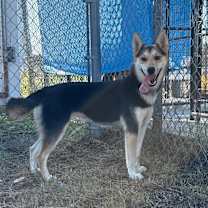 Thumbnail photo of Holly #2