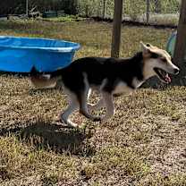 Thumbnail photo of Holly #4