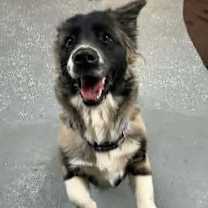 Thumbnail photo of Tendi #2