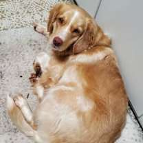 Thumbnail photo of Maddie #1