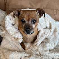 Thumbnail photo of Layla #2